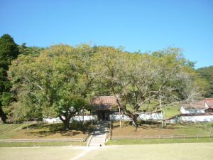 P1010953